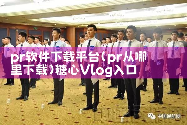 pr软件下载平台|糖心Vlog入口