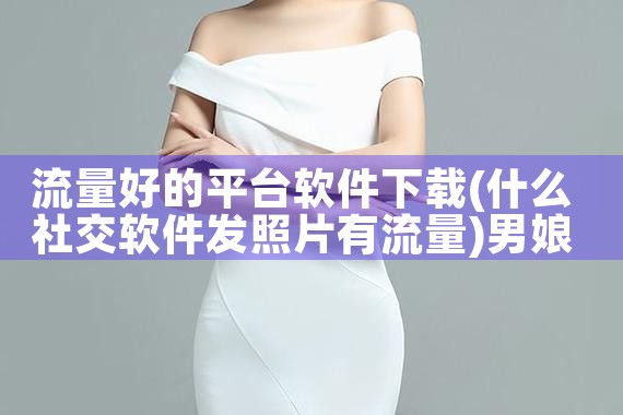 流量好的平台软件下载|男娘日记