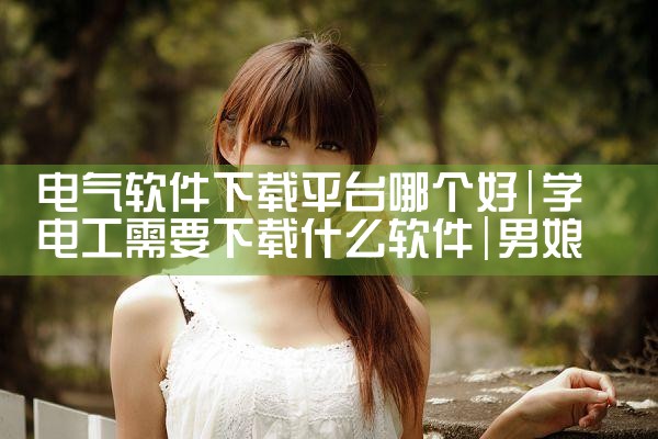 电气软件下载平台哪个好|男娘日记