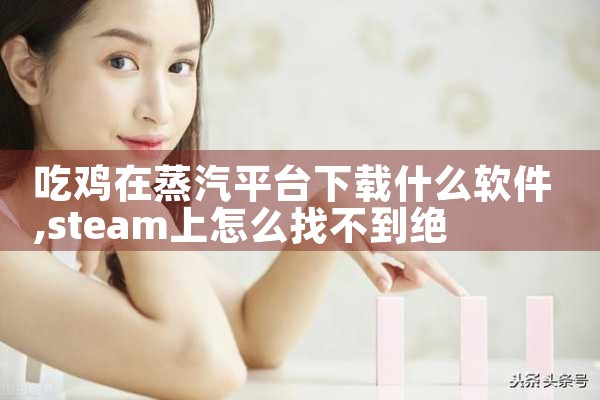 吃鸡在蒸汽平台下载什么软件