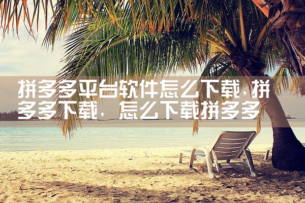 拼多多平台软件怎么下载|男娘日记