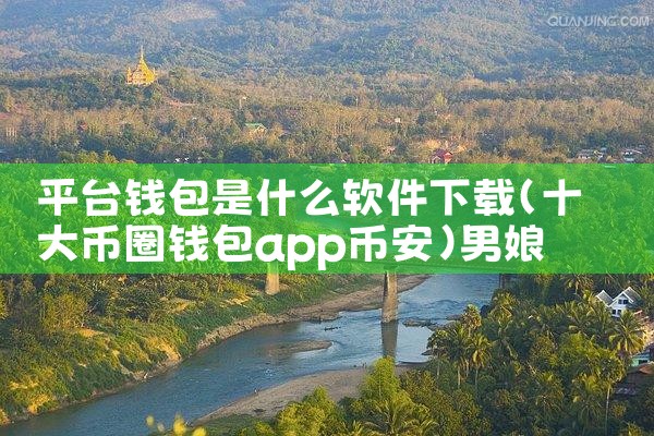 平台钱包是什么软件下载|男娘日记