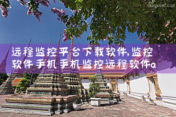 远程监控平台下载软件|男娘日记