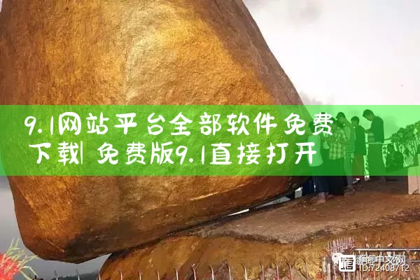 9.1网站平台全部软件免费下载