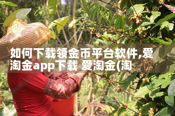 如何下载领金币平台软件|男娘日记