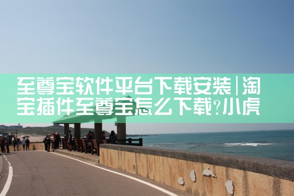至尊宝软件平台下载安装