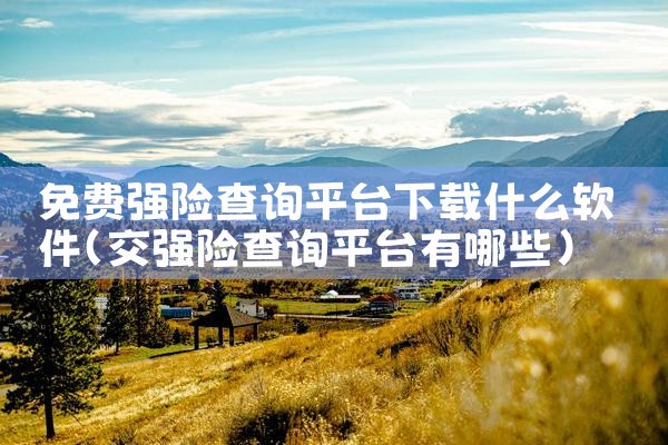 免费强险查询平台下载什么软件
