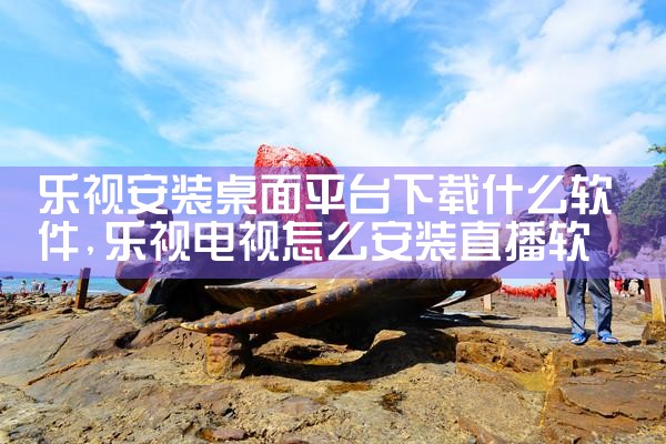 乐视安装桌面平台下载什么软件