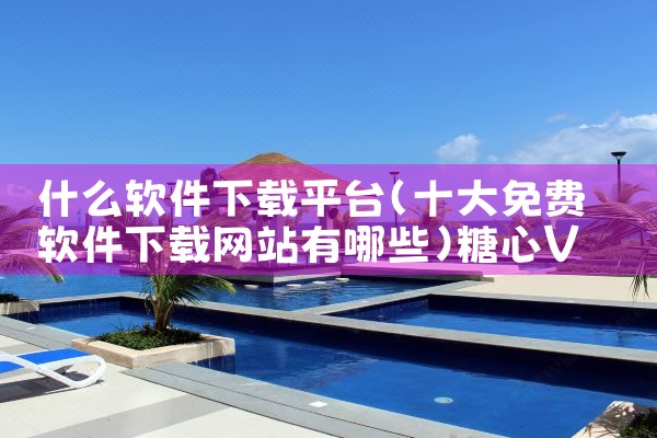 什么软件下载平台|糖心Vlog入口